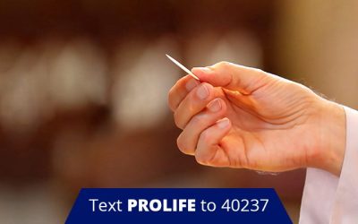 Courageous Bishop Defends Decision to Deny Anti-Life Politician Communion