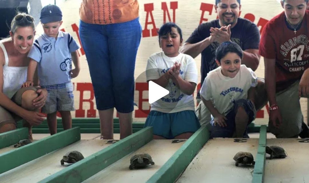 Annual San Juan Fiesta Turtle Fest returns to Tortugas in June