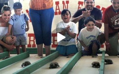 Annual San Juan Fiesta Turtle Fest returns to Tortugas in June