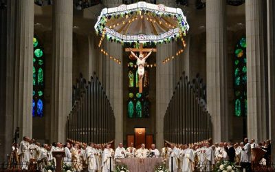 Pope Leo at the Sagrada Família underscores need to work for peace